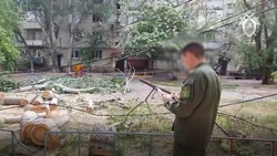 Девочка, на которую в Астрахани упало дерево, не выжила